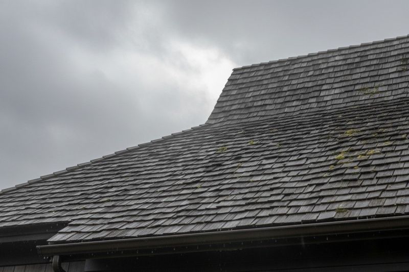 Cedar Roof Construction