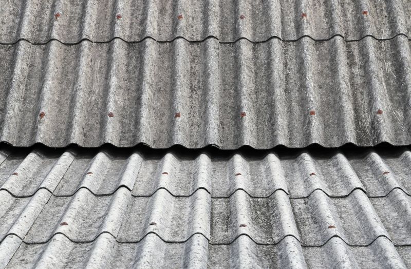 Corrugated Roofing Service